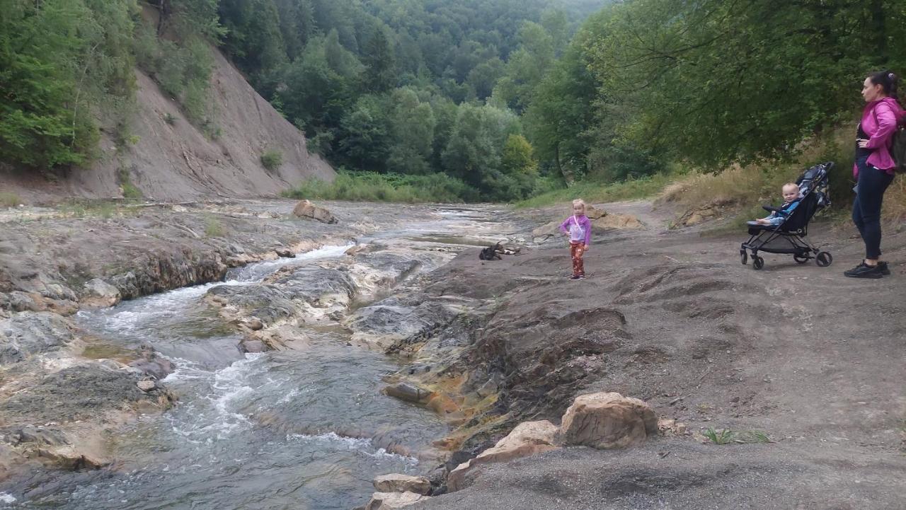 Садиба Федорчуків Гірська Хатина Szeszory Zewnętrze zdjęcie